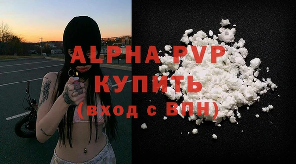 стафф Покачи