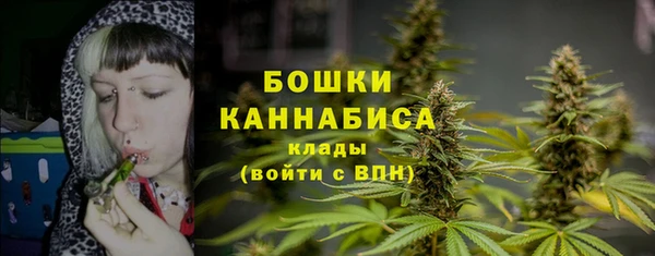 стафф Покачи