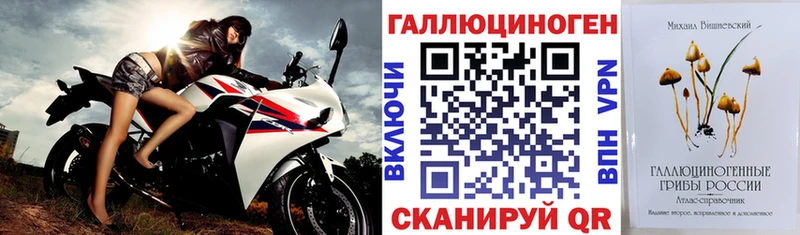 Галлюциногенные грибы мицелий  где купить   Сертолово 
