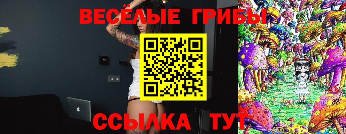 Галлюциногенные грибы прущие грибы Сертолово