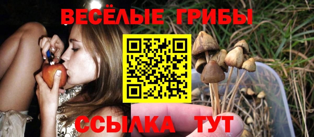 Псилоцибиновые грибы Сертолово