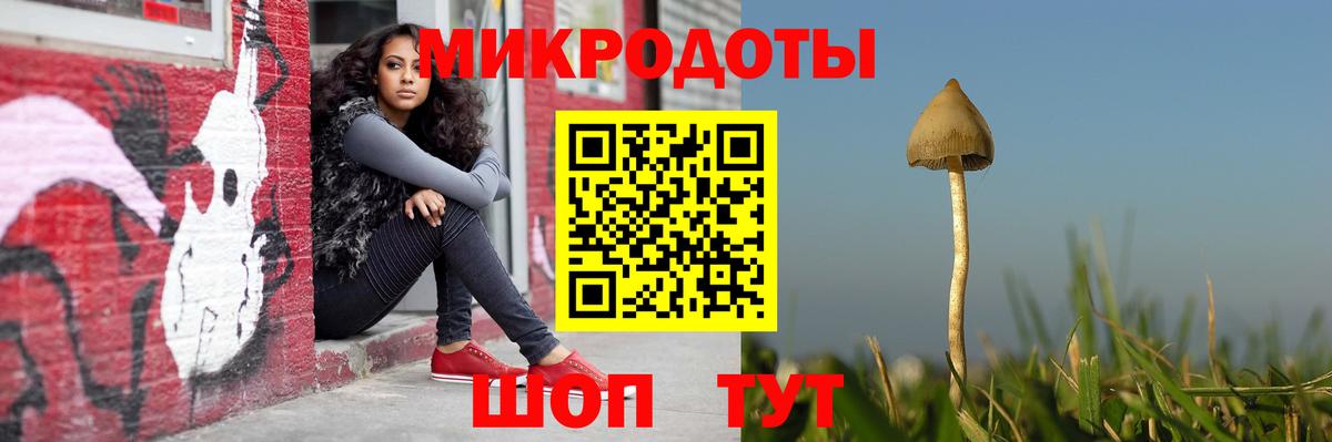 Псилоцибиновые грибы мухоморы  Галлюциногенные грибы Psilocybe  Сертолово  Вход с VPN 