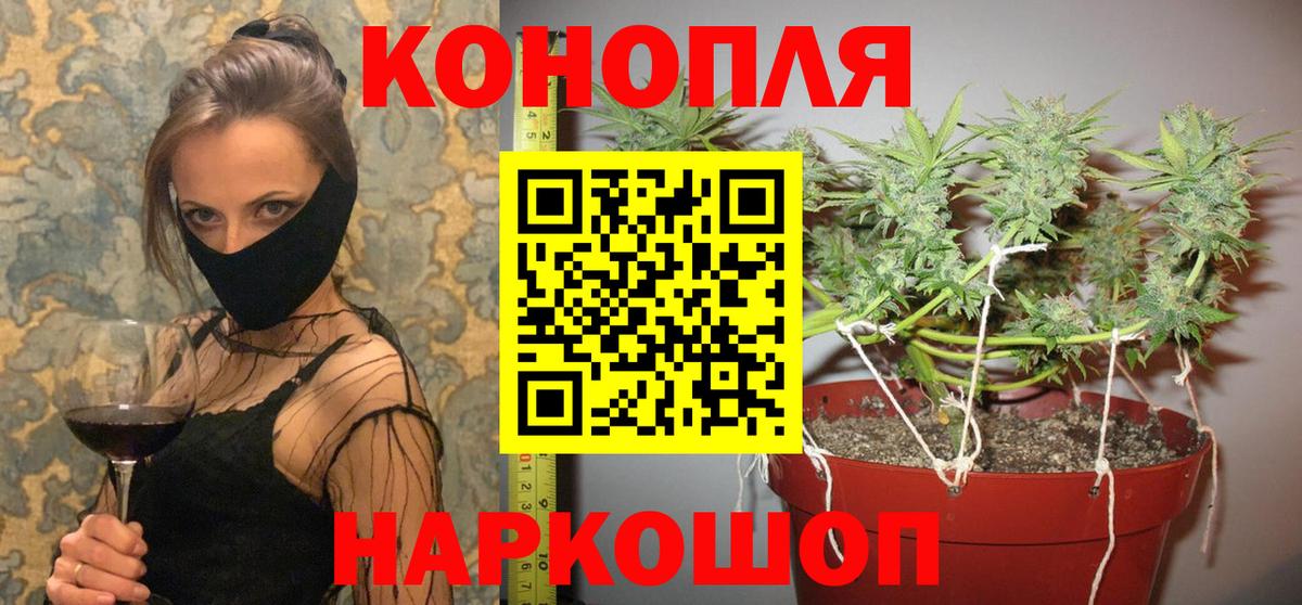 Каннабис гибрид Сертолово